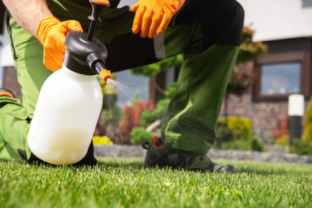 Trusted Cedaredge, CO Pest Control Experts